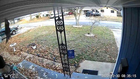 Bird caught on door camera