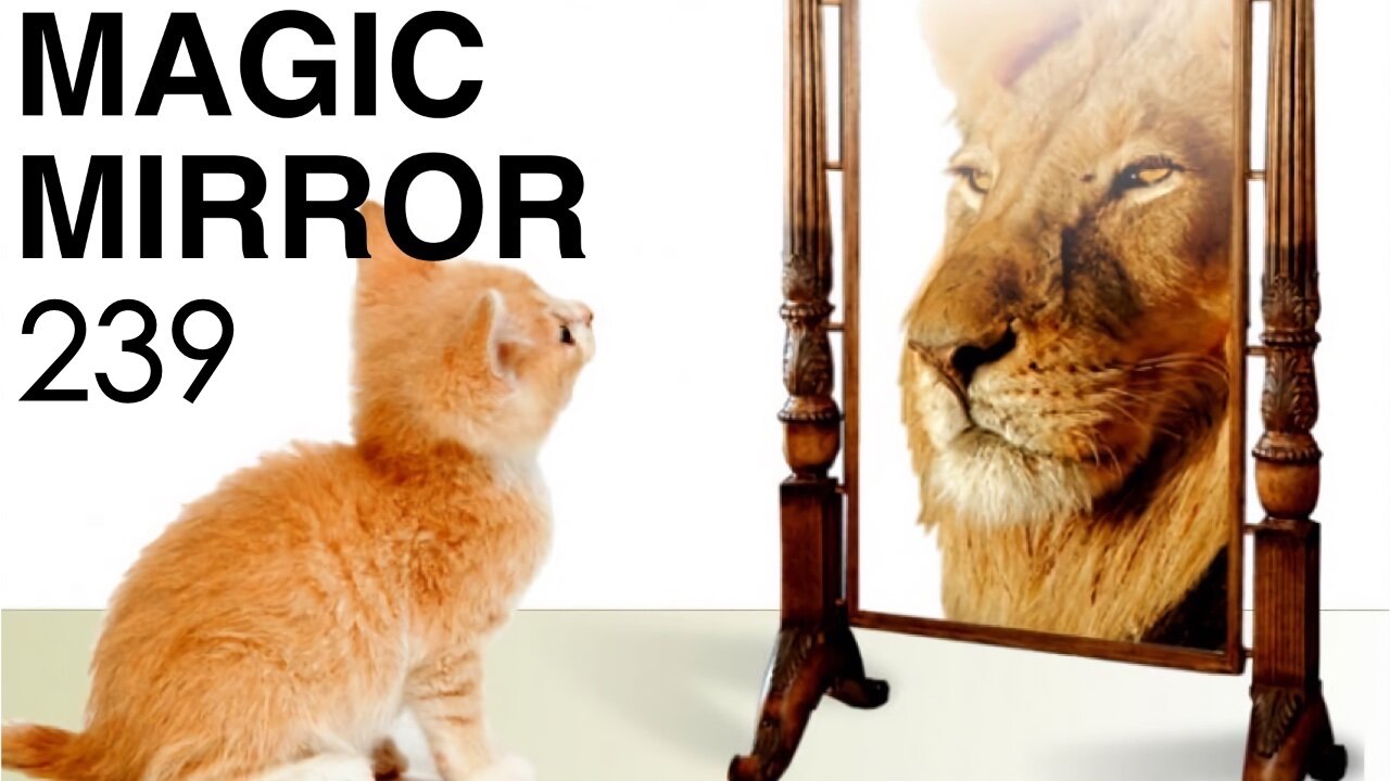 Magic Mirror 239 - Cult Of Medics (Chapter 1)