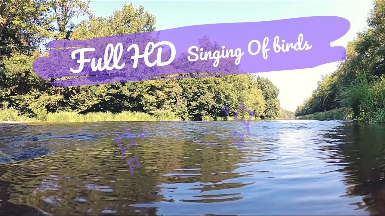 Water Flow And Birdsong Sounds | Birdsong And River Flow