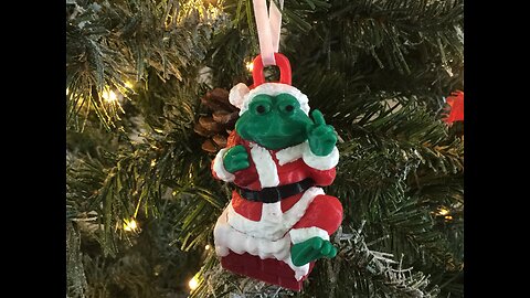 Santa Frog