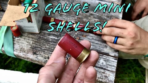 12 Gauge Mini Slugs Range Testing (Failure Load)