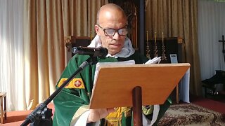 Sermão do Sétimo Domingo Depois de Pentecostes - Falsos Profetas
