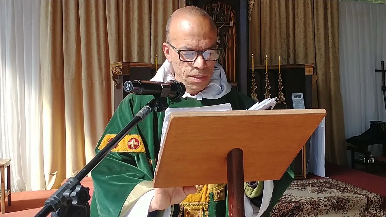 Sermão do Sétimo Domingo Depois de Pentecostes - Falsos Profetas