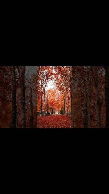 “Cozy autumn space” Enjoy relaxing music, quiet meditation music, peaceful autumn music