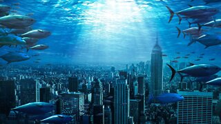 What If All Life on Earth Lived in the Oceans?