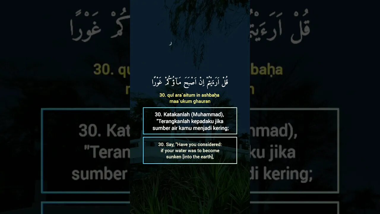 Surah Al-Mulk Ayat 30 . #alquran #quran #murottal