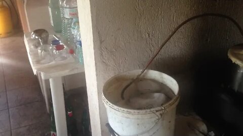 Любительская установка для Дистилляция ципуро (Tsipouro, grapa)