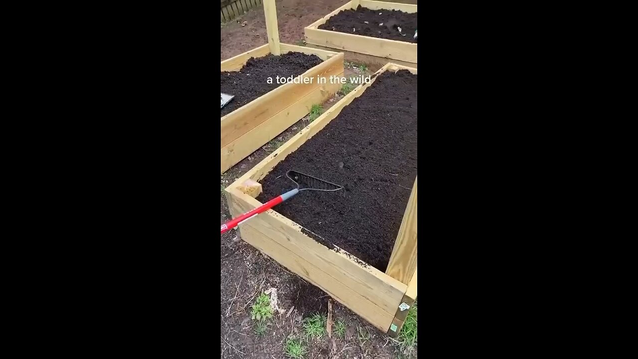 Toddle loves to play with dirt