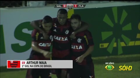 Os Gols do Jogo | Salgueiro PE 0 x 2 Flamengo RJ | Copa do Brasil 22-04- 2015