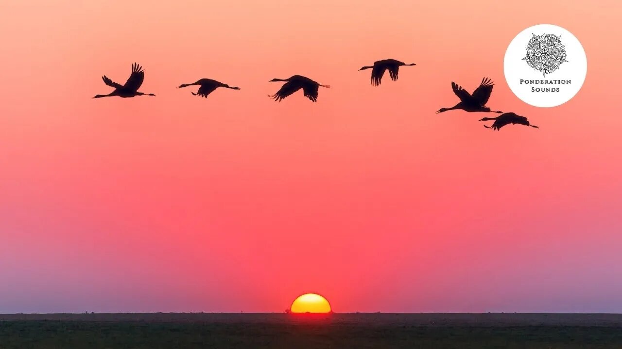 Piano Music with Birds Singing for Stress Relief