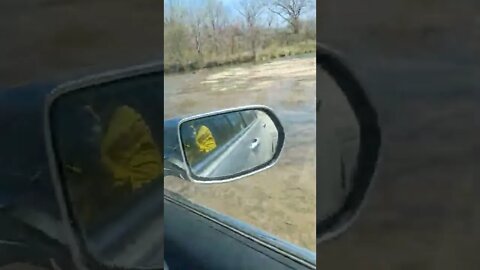 Driving Into a River 🚙🏞️
