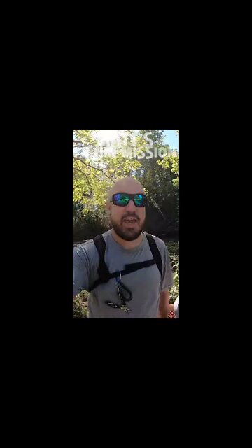 2 Bass and a Frog walk into a bar (short version)