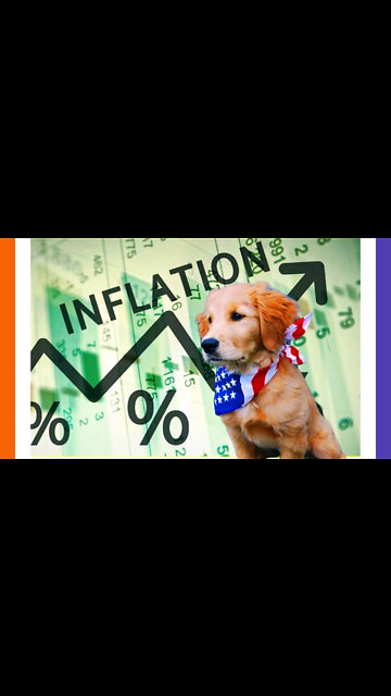 Bloomberg Says To Get Rid of Your Pets