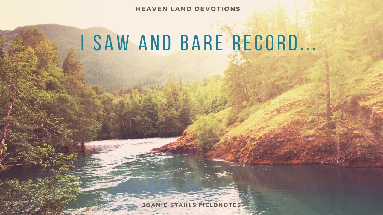 Heaven Land Devotions - I Saw And Bare Record...