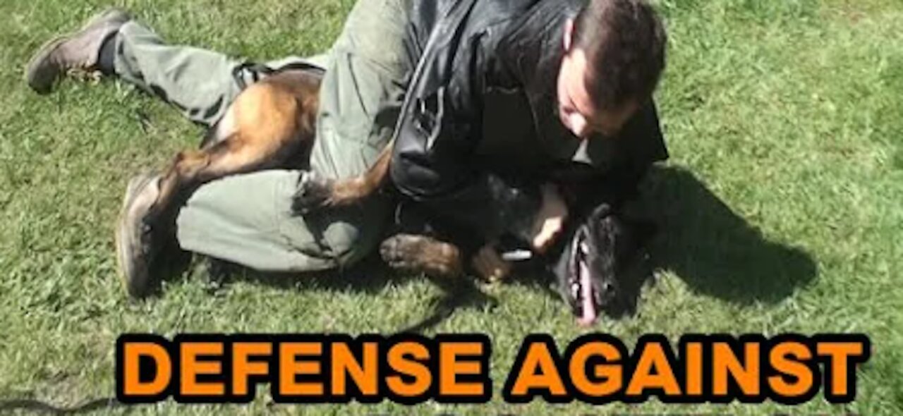 How to defend against a dog. Self defense against dog attack