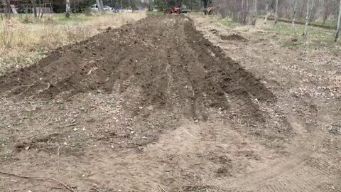 Prepping our grow out field