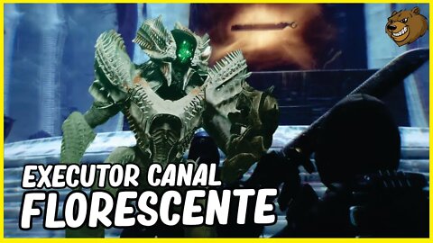 DESTINY 2 │ O EXECUTOR DO CANAL FLORESCENTE