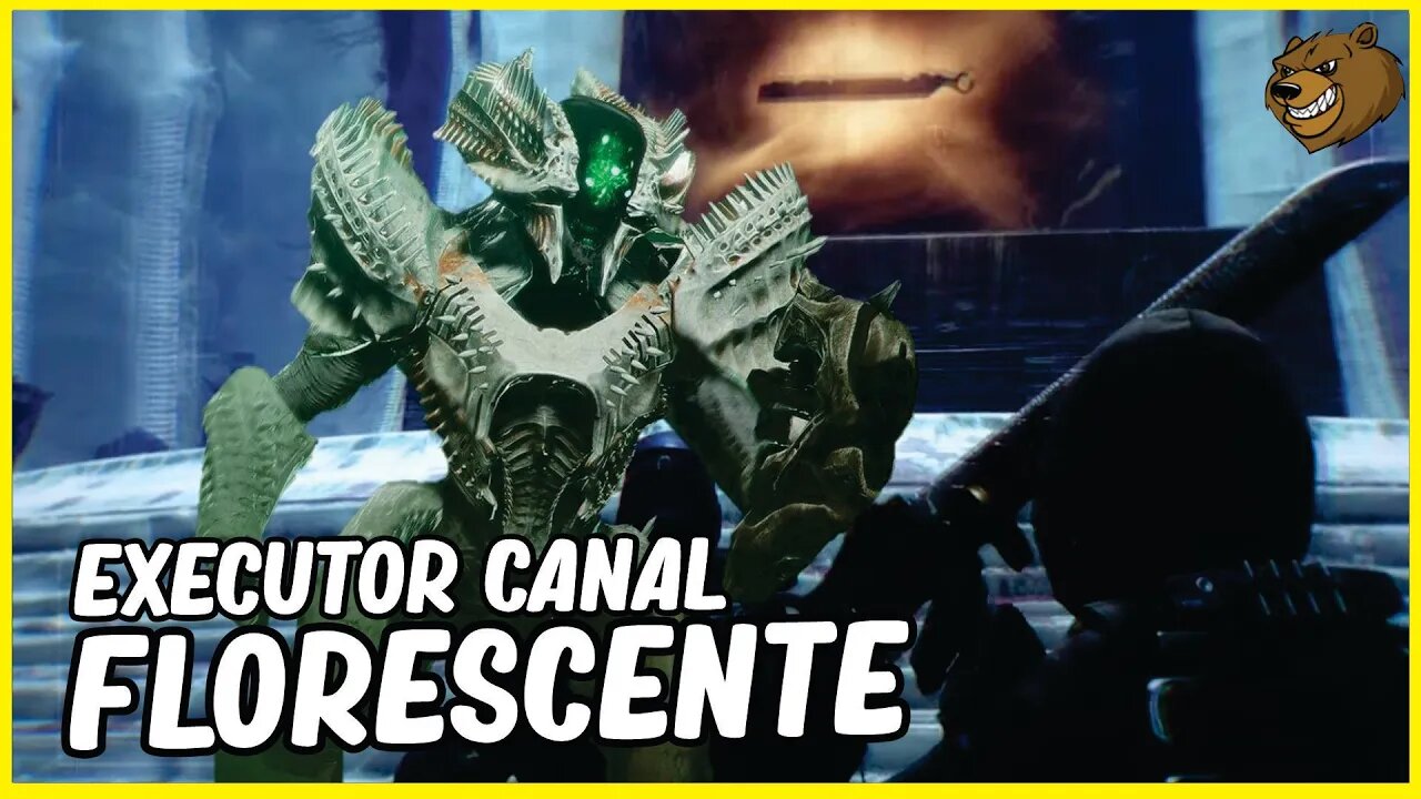 DESTINY 2 │ O EXECUTOR DO CANAL FLORESCENTE