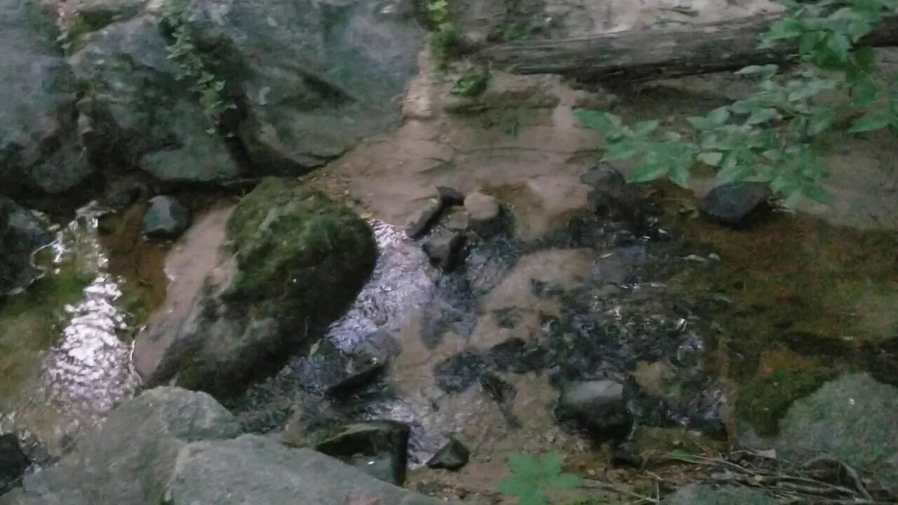 Magical Creek - The Perfect Meditation Spot