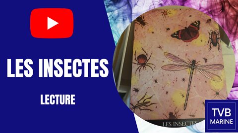 Les insectes