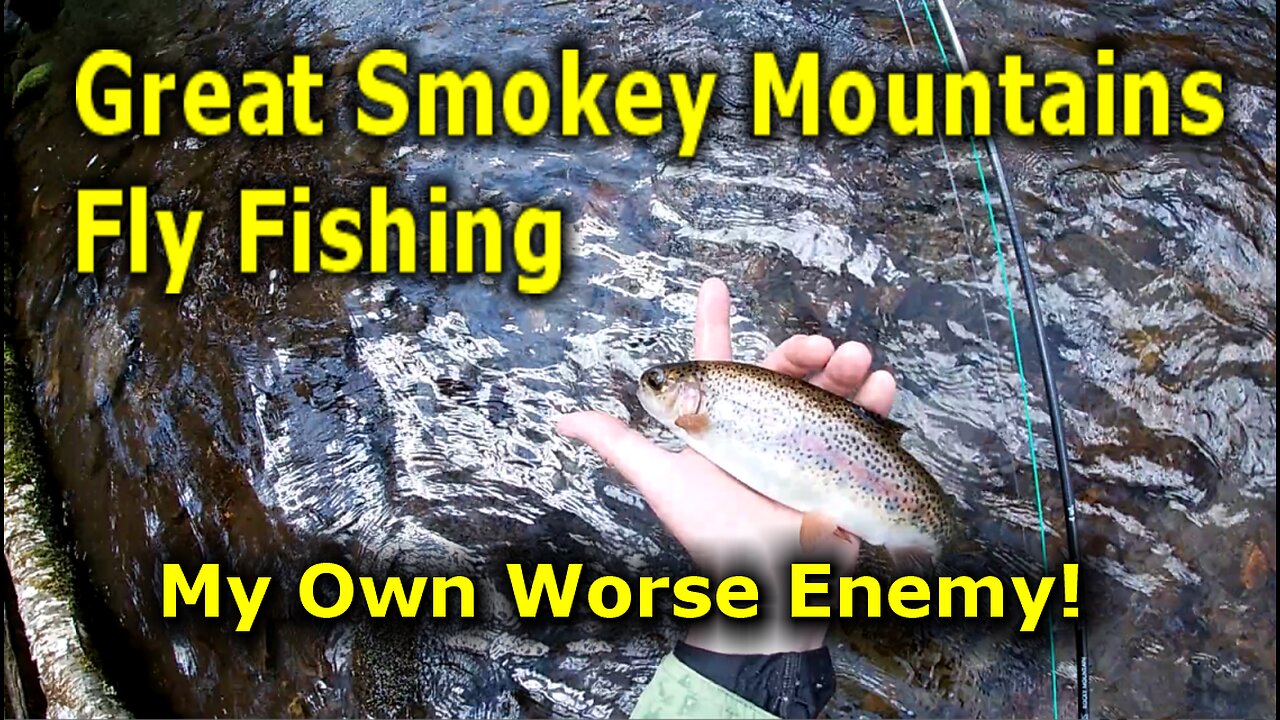 Great Smokies Fly Fishing I Should Know Better