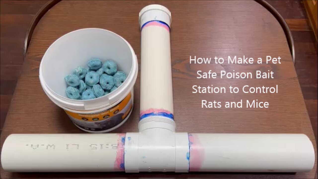 How to Make a Pet Safe Poison Bait Station the Control Rats and Mice