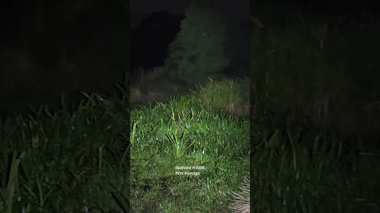 Skilhunt H300R: nature beamshots