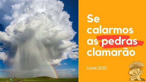 Se calarmos as pedras clamarão