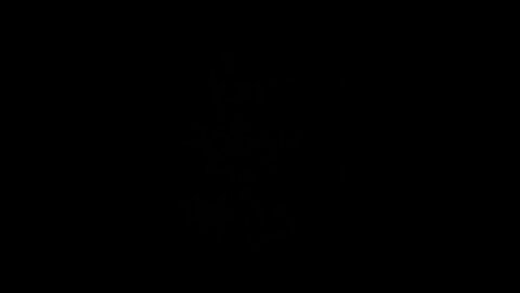 Silver is at $28.64/oz