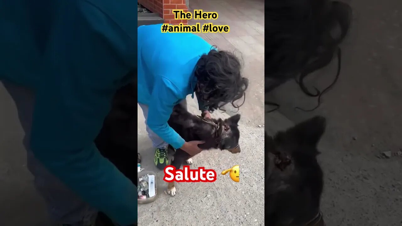 The real #hero #lover #animals
