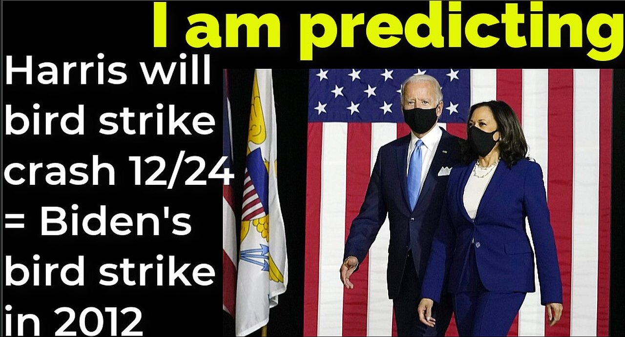 I am predicting: Harris will bird strike crash Dec 24 = Biden's bird strike in 2012