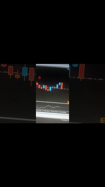 Best Forex Trading Indicator - Miracle Money Forex Indicator - Forex Trading