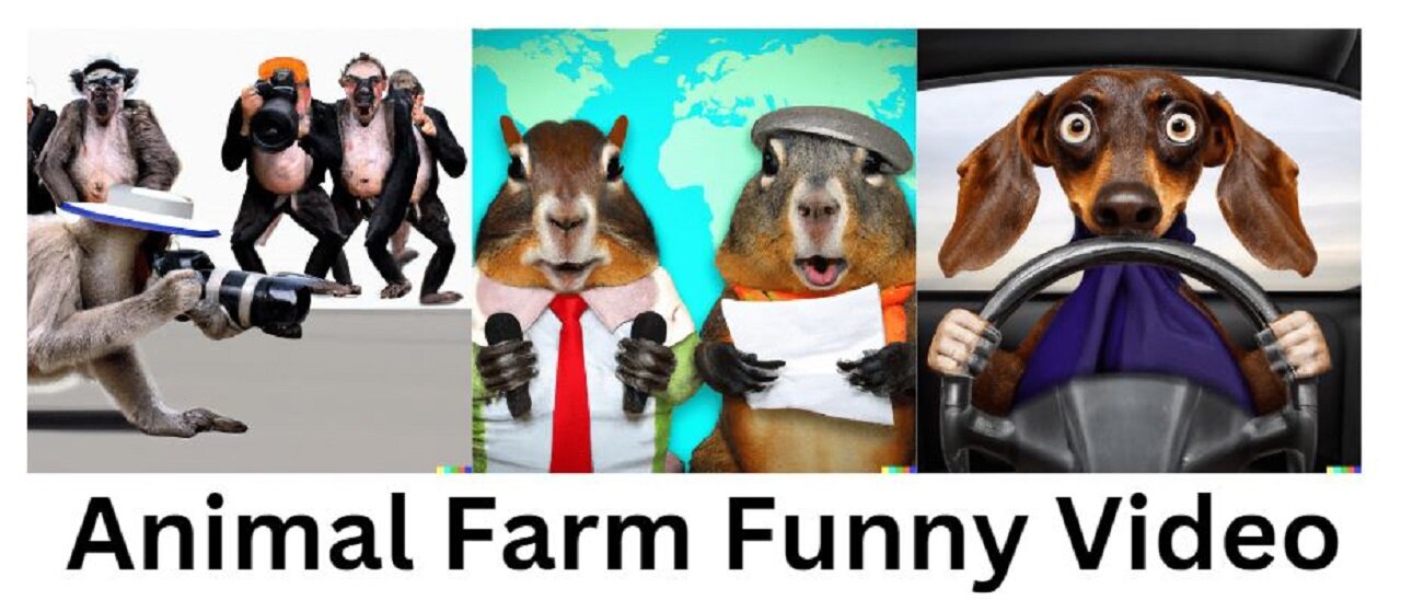 Animal Farm Funny Animals Video