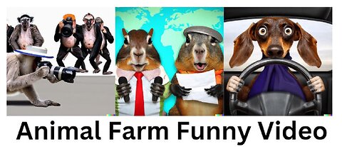 Animal Farm Funny Animals Video