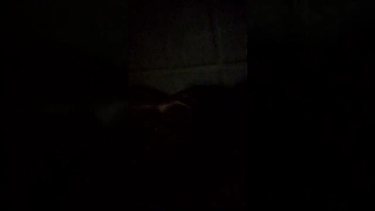 Not sure if a permanent housing solution is attainable for me at the moment.