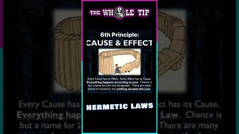 HERMETIC LAWS VI CAUSE & EFFECT - the Whole Tip Daily #shorts