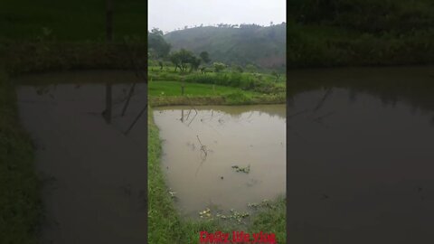 countryside