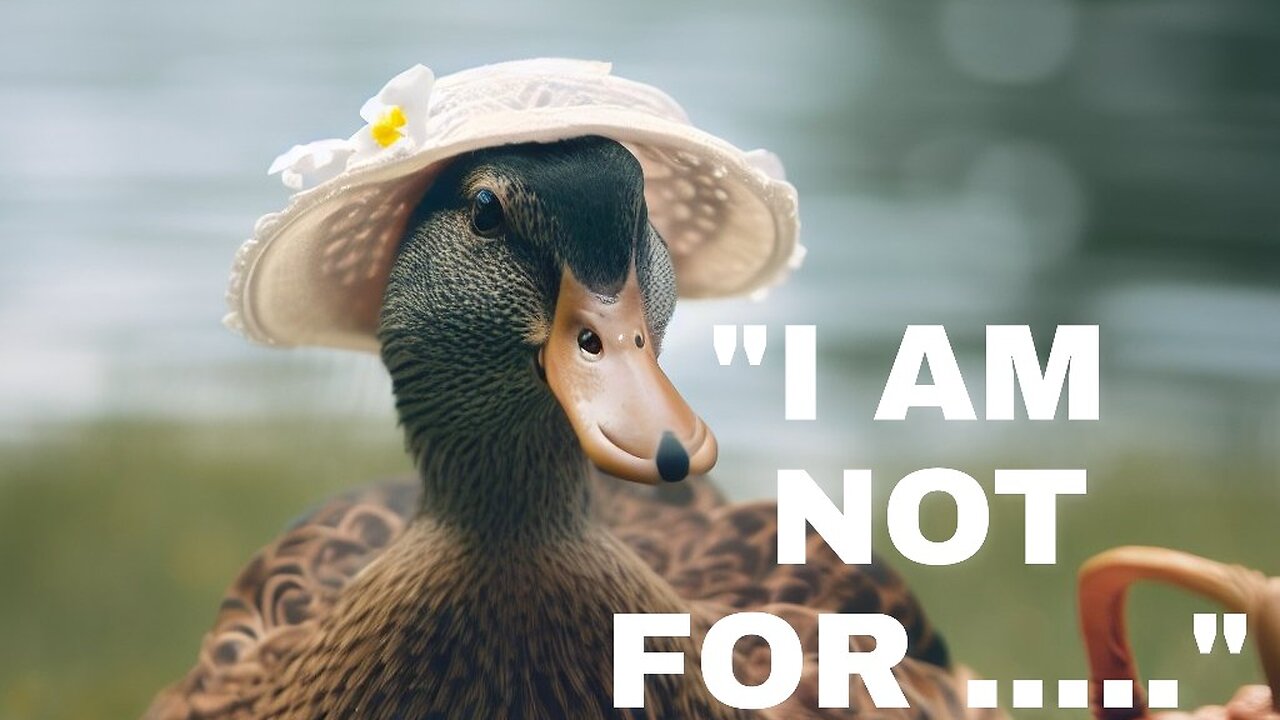 "I am not for ..." #rumble #viralpost #motivation #motivationalquotes