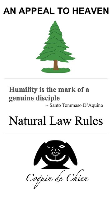 Vexine Veritas - Vid 1 Introduction - John Beaudoin