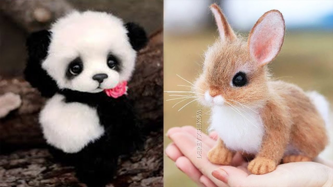 Animals SOO Cute! AWW Cute baby animals Videos Compilation Funniest and Cutest moment of animals