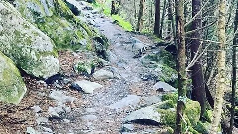 Forgiveness Hiking Rant