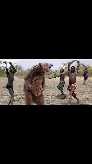 The Beauty of Bears || Captivating Moments in Nature || Bear vs Human | Big fight