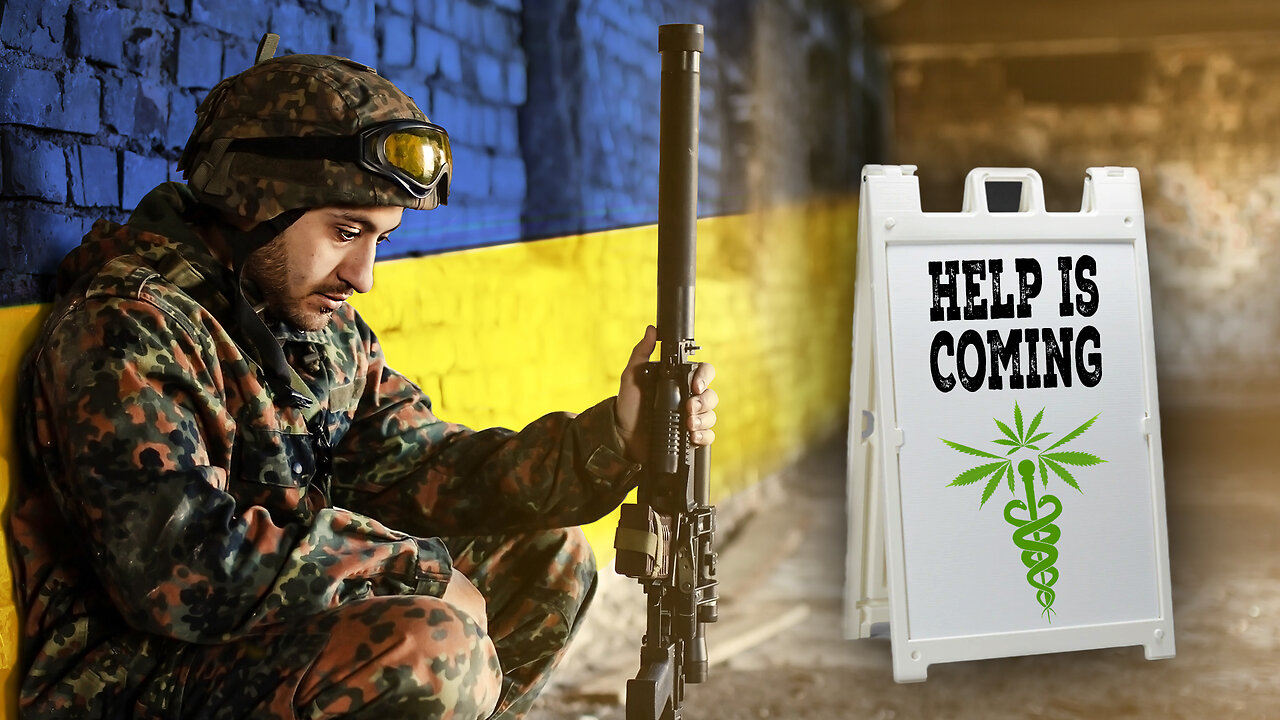 The Potential of Cannabis to Treat PTSD #ptsd