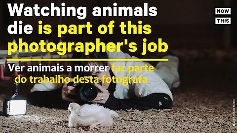 💥UM OLHAR POR DENTRO DAS EXPLORAÇÕES AGRÍCOLAS INDUSTRIAIS, ATRAVÉS DA FOTÓGRAFA JO-ANNE MCARTHUR💥