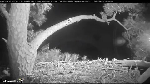 Dad Delivers Breakfast To Mom Off-Cam 🦉 2/15/22 06:07