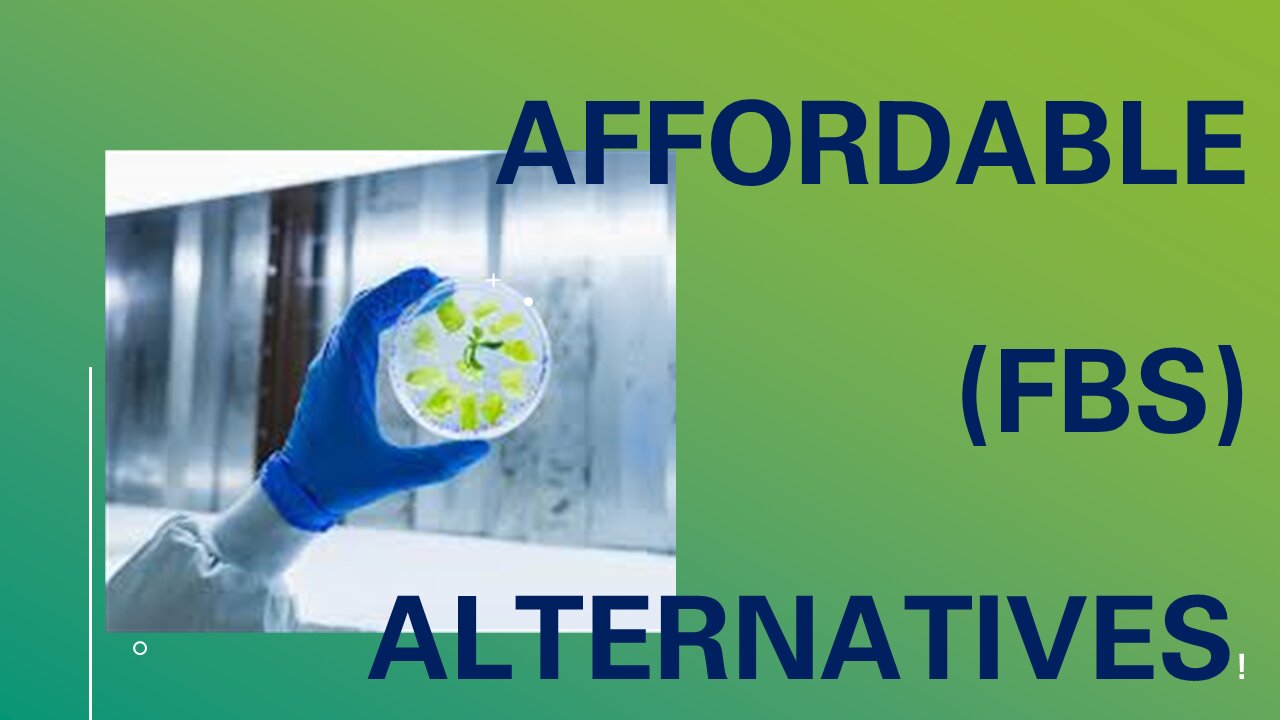 #affordable #fbs Alternatives #fetal Bovine Serum