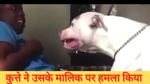 Dog attack her owner 😱😱😱 #dog #animal #fight