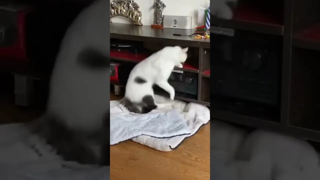 Keep on sleeping