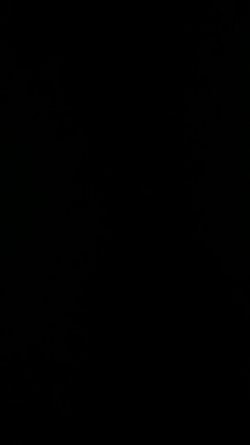 Government corruption