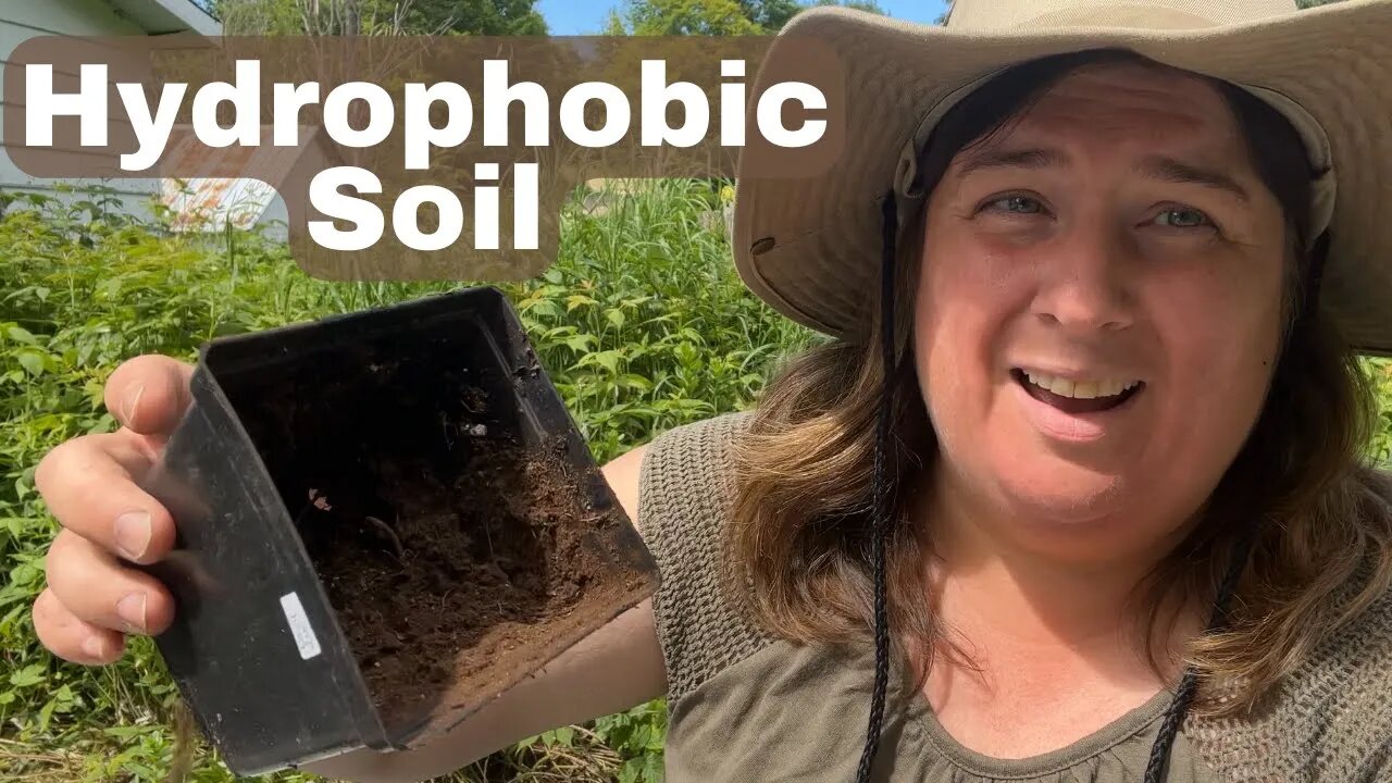 Hydrophobic Soil And How To Correct It